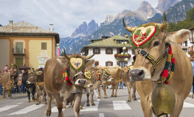 desmonteada-cons-tur-tre-cime-dolomiti