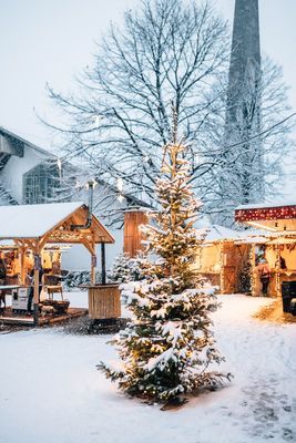 benjamin-pfitscher-shooting-algunder-christkindlmarkt-web-17-