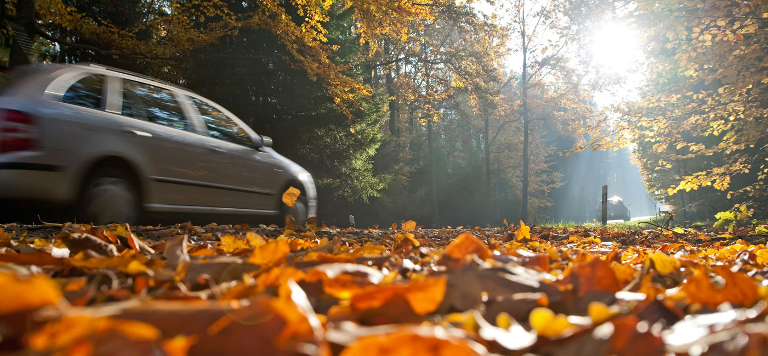 Viaggiare d’autunno – bello e rischioso
