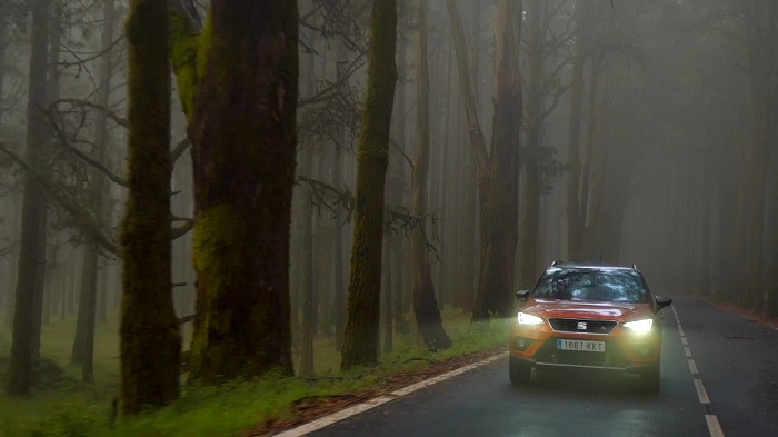 Guidare in autunno – foglie cadute, pioggia e nebbia