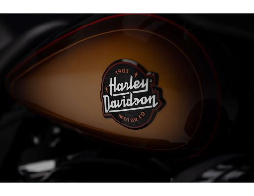 HARLEY-DAVIDSON LANCIA LE COLLEZIONI ICONS E ENTHUSIAST 2024