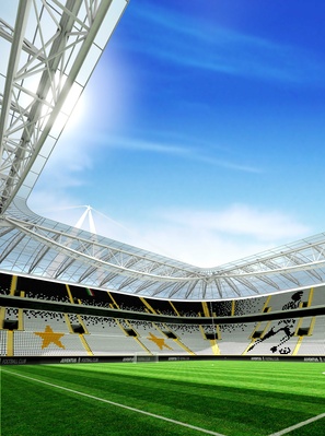 Juventus Stadium