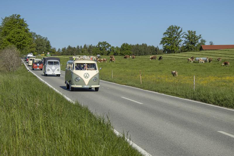 VWN_75 Jahre Bulli_Salzburg_3_media_low