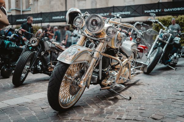 H-D EUROPEAN BIKE WEEK (15)